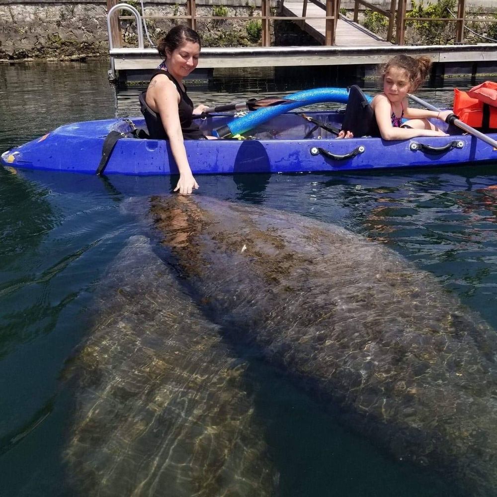 Meet your Posher, Louise